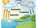 K-12 textbook-style science illustration for a biology lesson